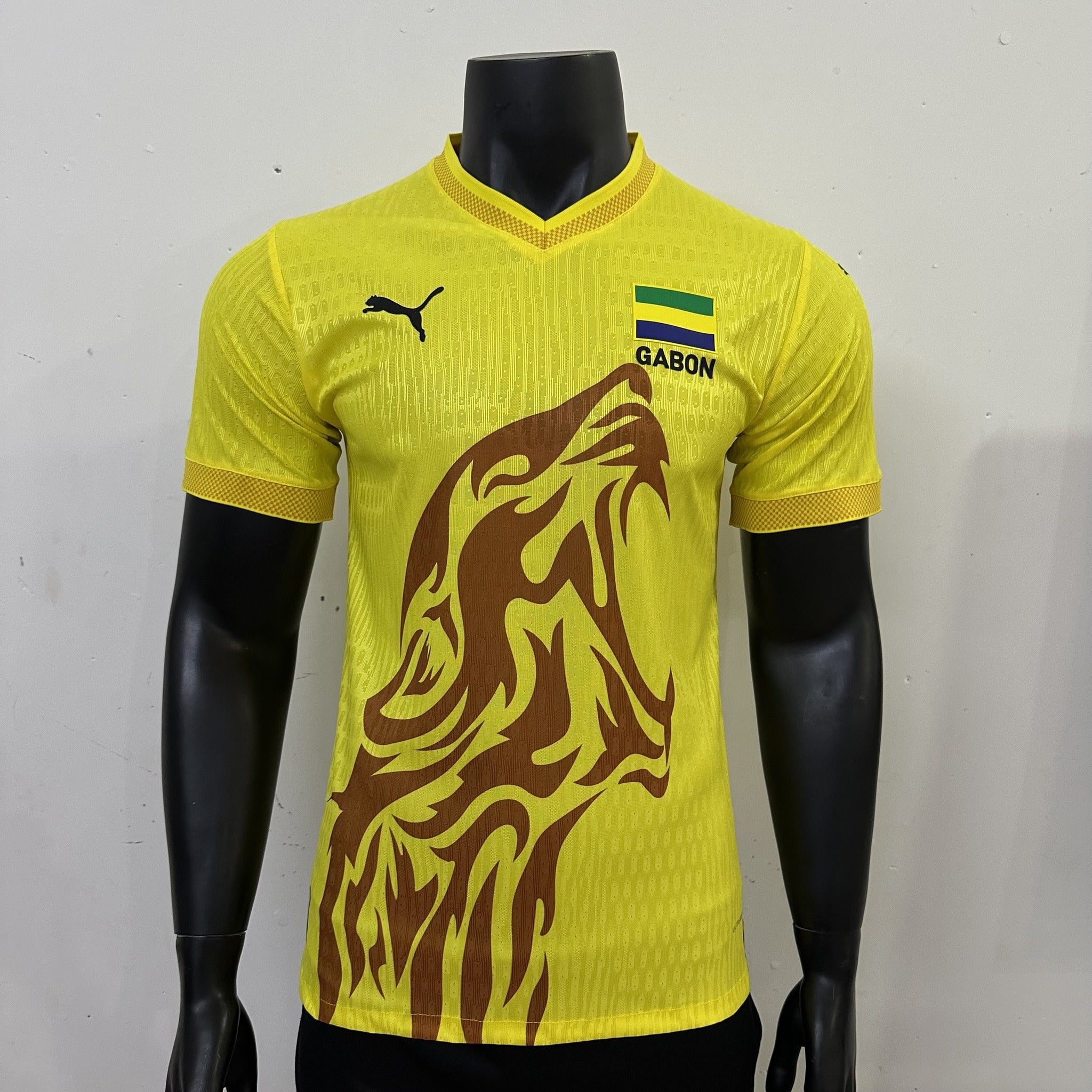 Gabon Player 26/27 Home Kit – image 3