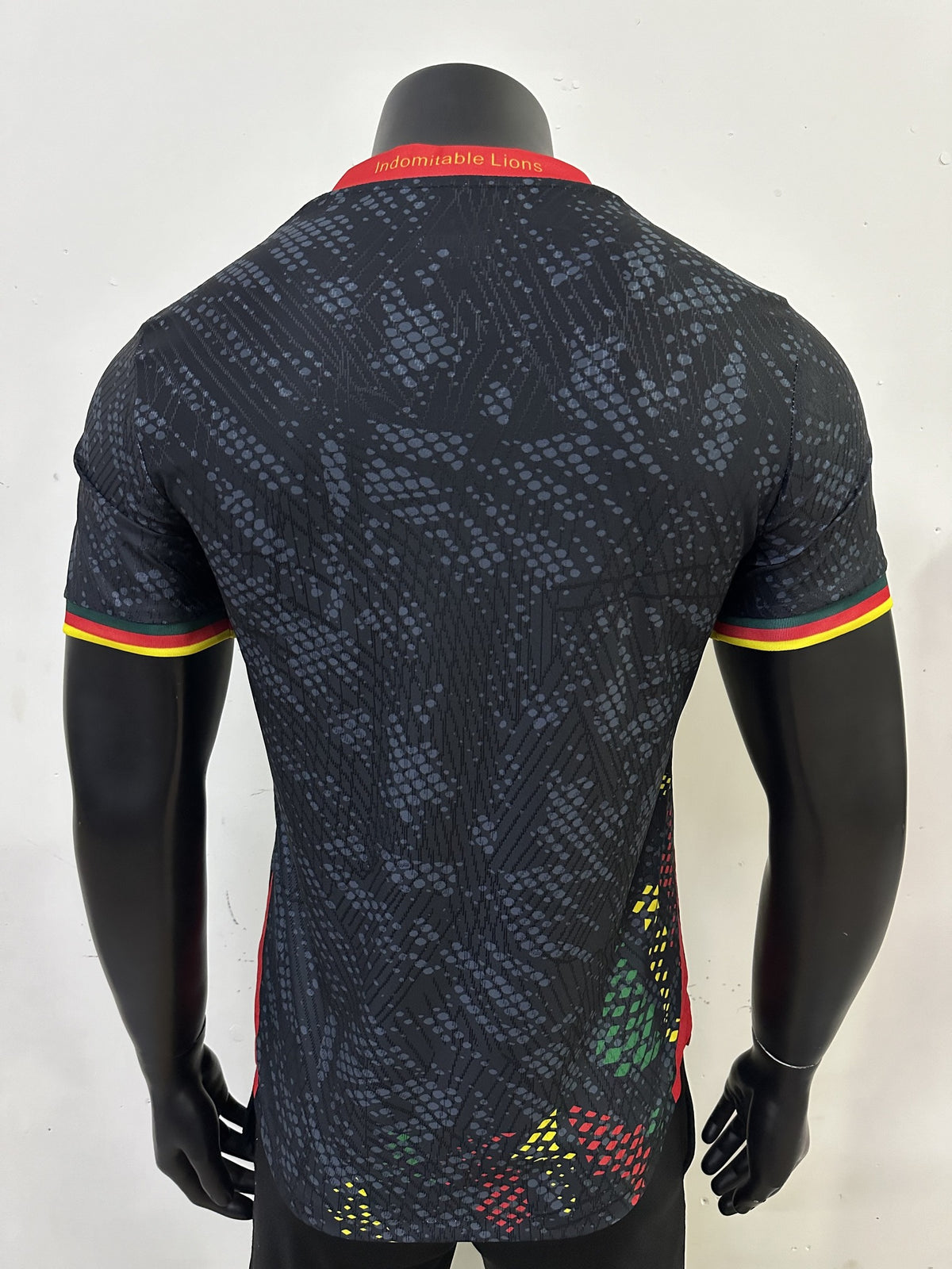 Cameroon Player 26/27 Third Kit – image 2