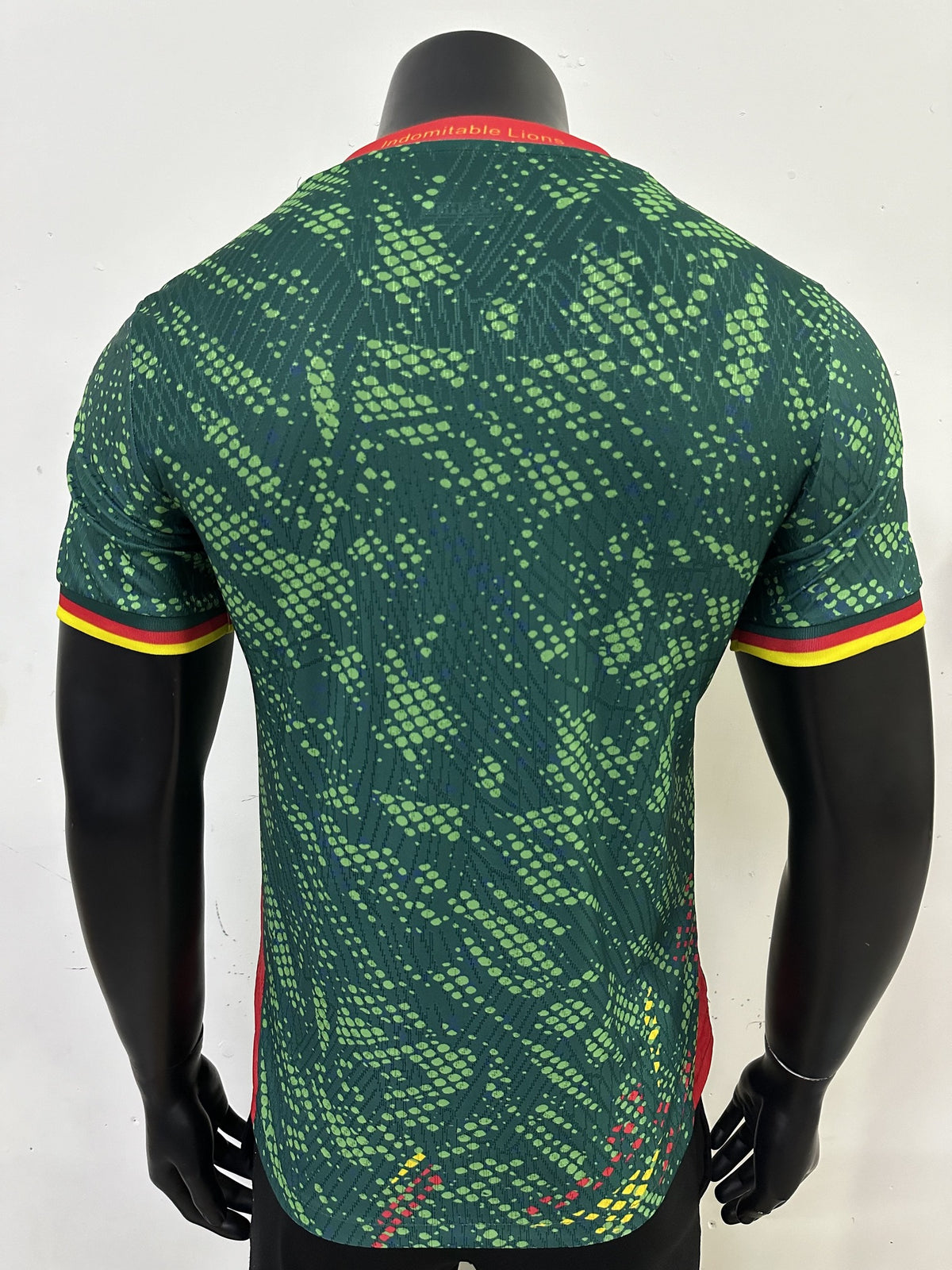 Cameroon Player 26/27 Home Kit – image 2
