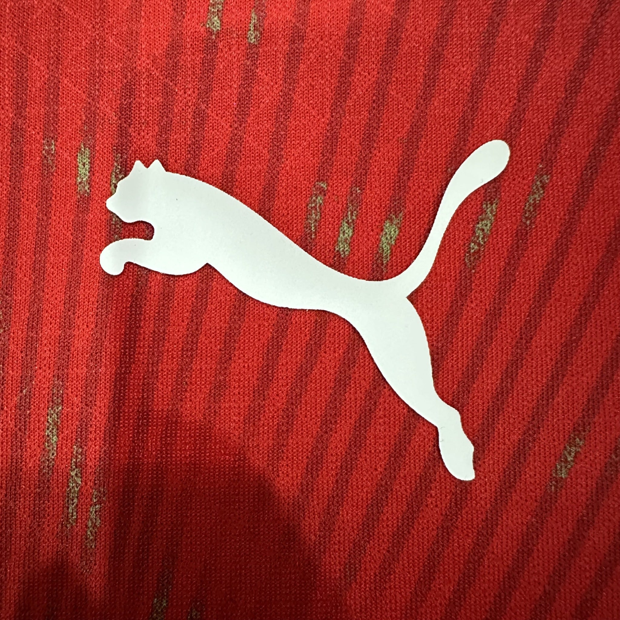Switzerland Player 26/27 Home Kit – image 7