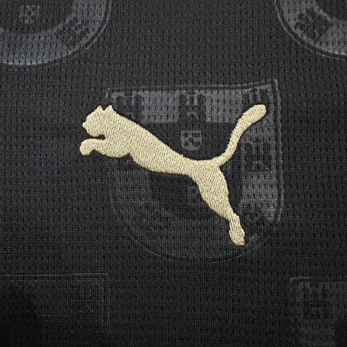 Portugal 26/27 Black Panther Special Edition Kit – image 6