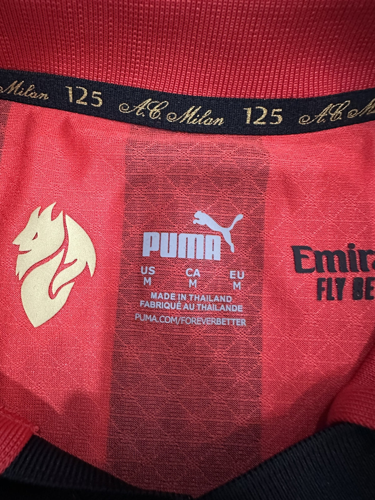AC Milan Player 24/25 125th Anniversary Red Special Edition Kit – image 7