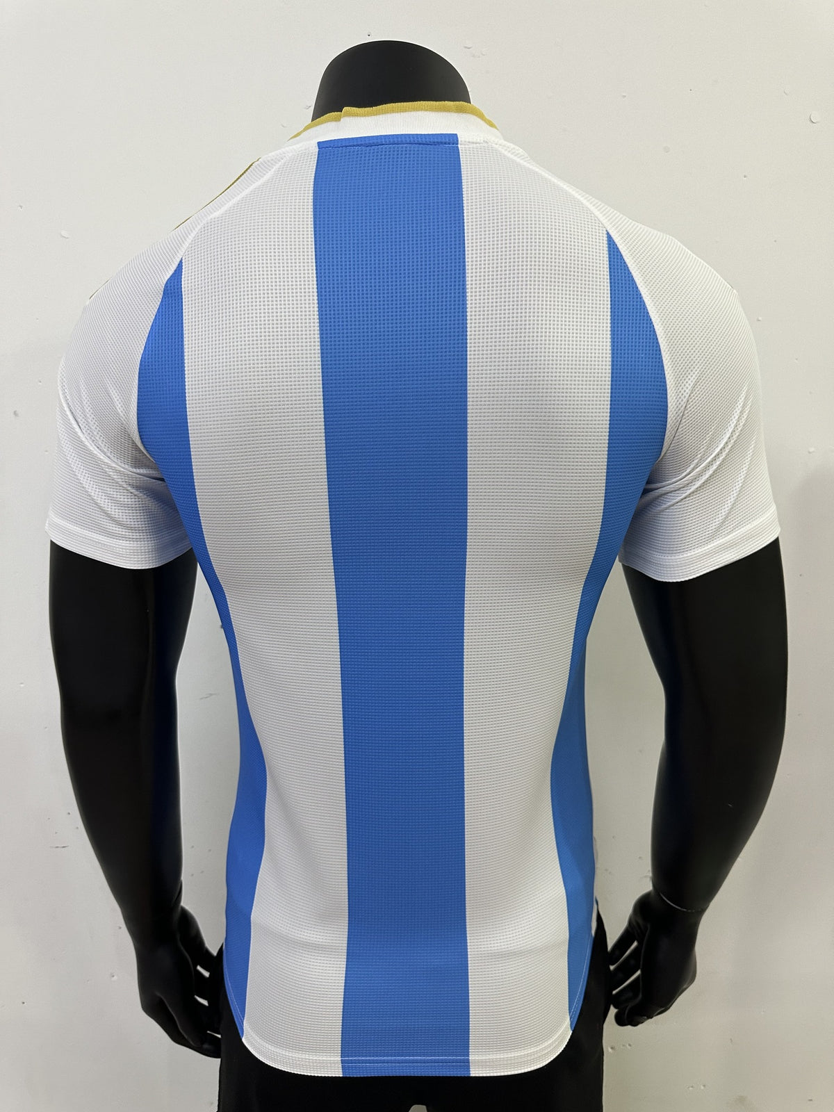 Argentina Player 25/26 Home Predicted Special Edition Kit – image 2