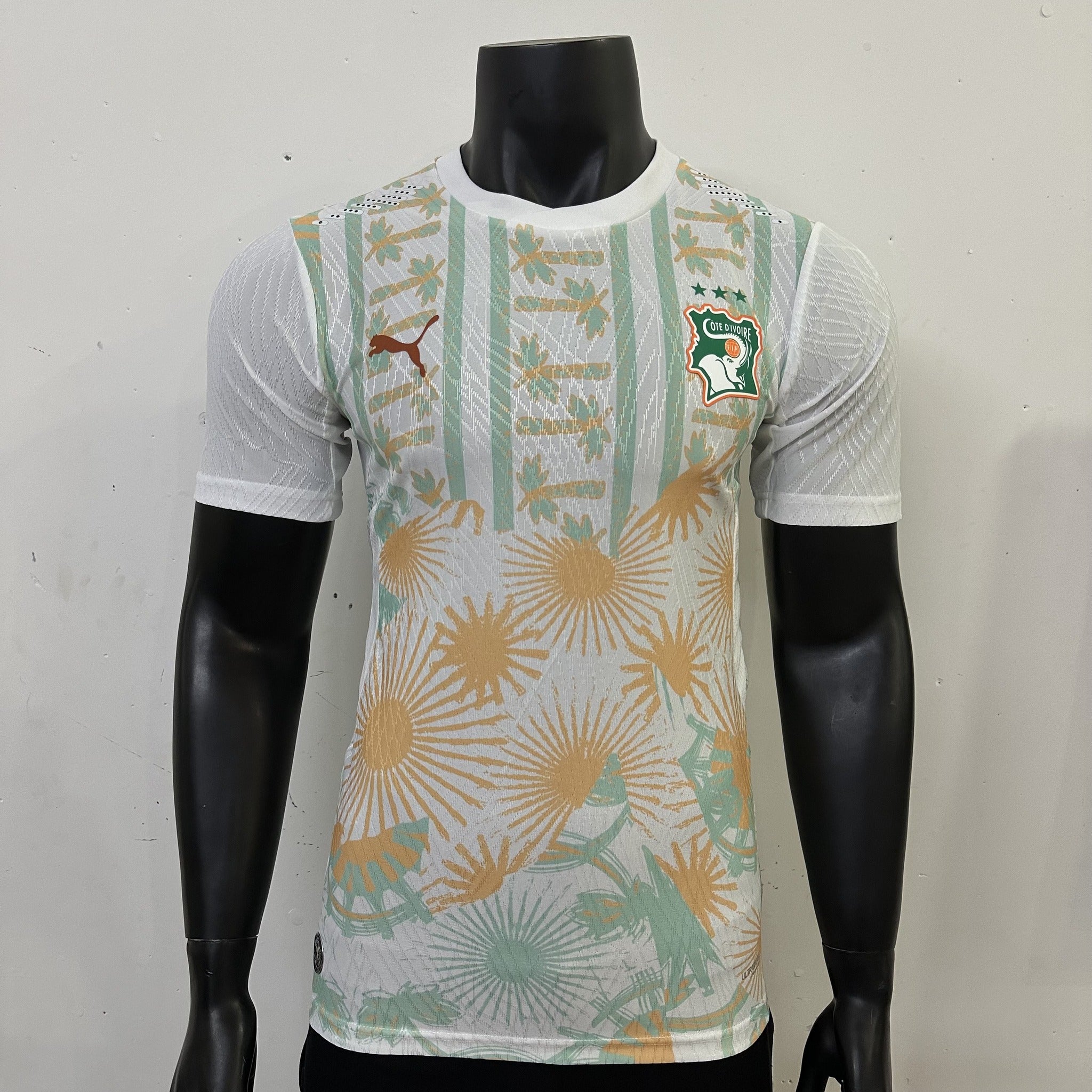 Ivory Coast Player 26/27 Away Kit – image 3